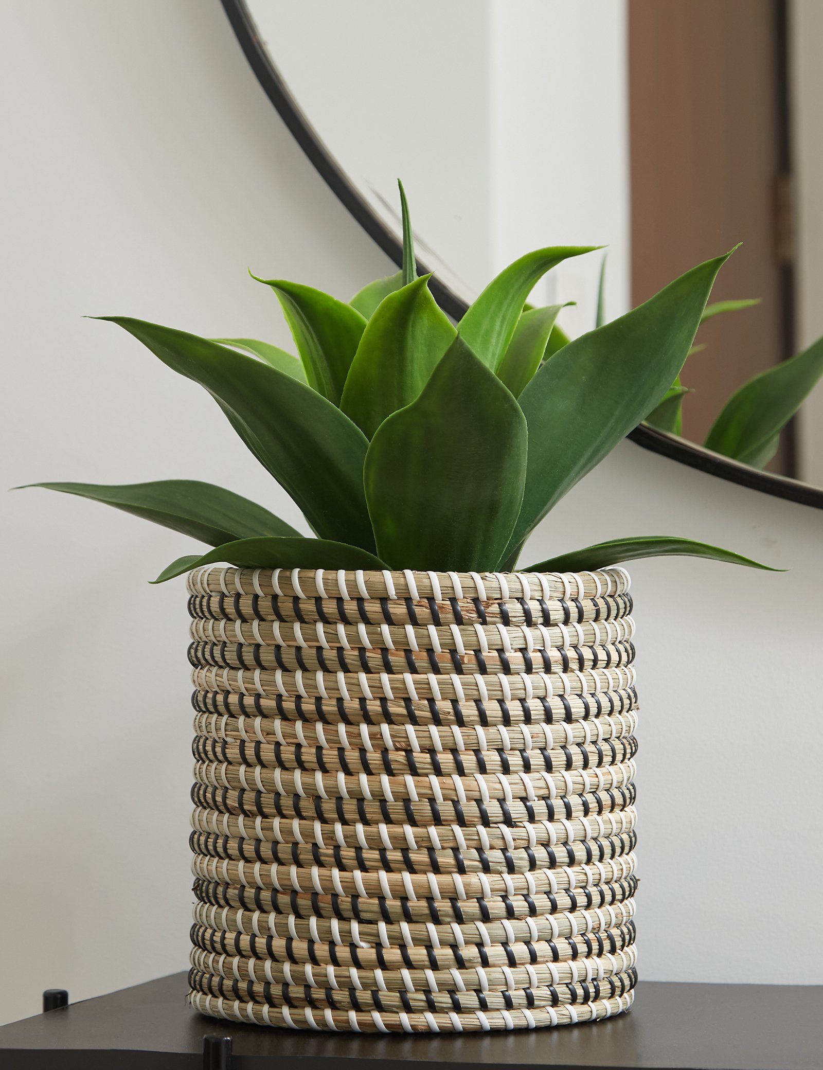 Planters & Plant Baskets